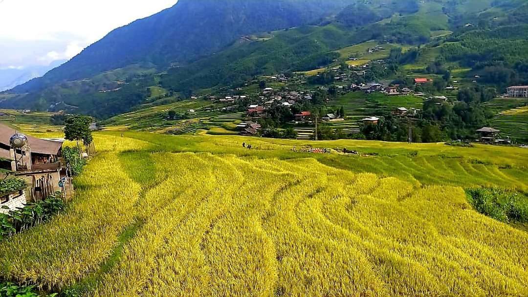 Tavan Dragon House Lao Cai Zewnętrze zdjęcie