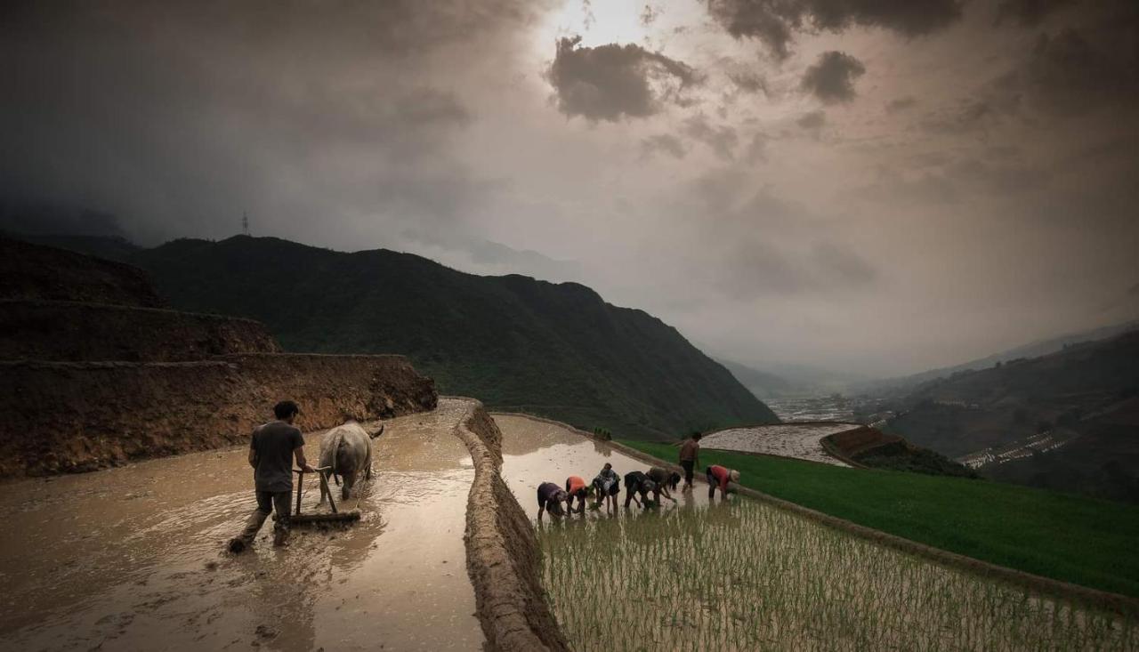 Tavan Dragon House Lao Cai Zewnętrze zdjęcie